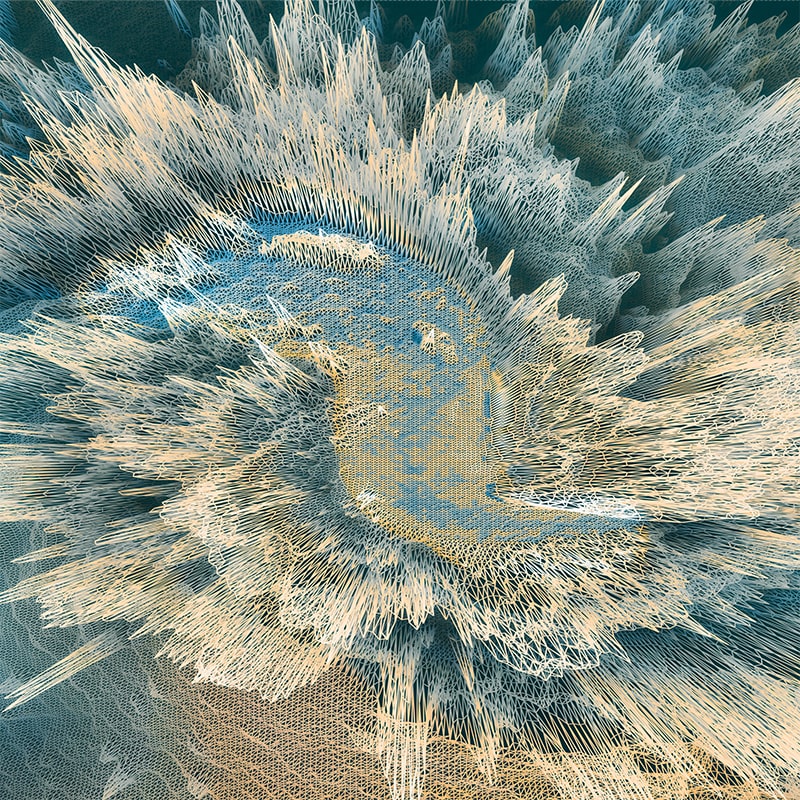 Артикул EN_005_col1